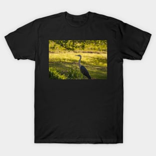 White Necked Heron T-Shirt